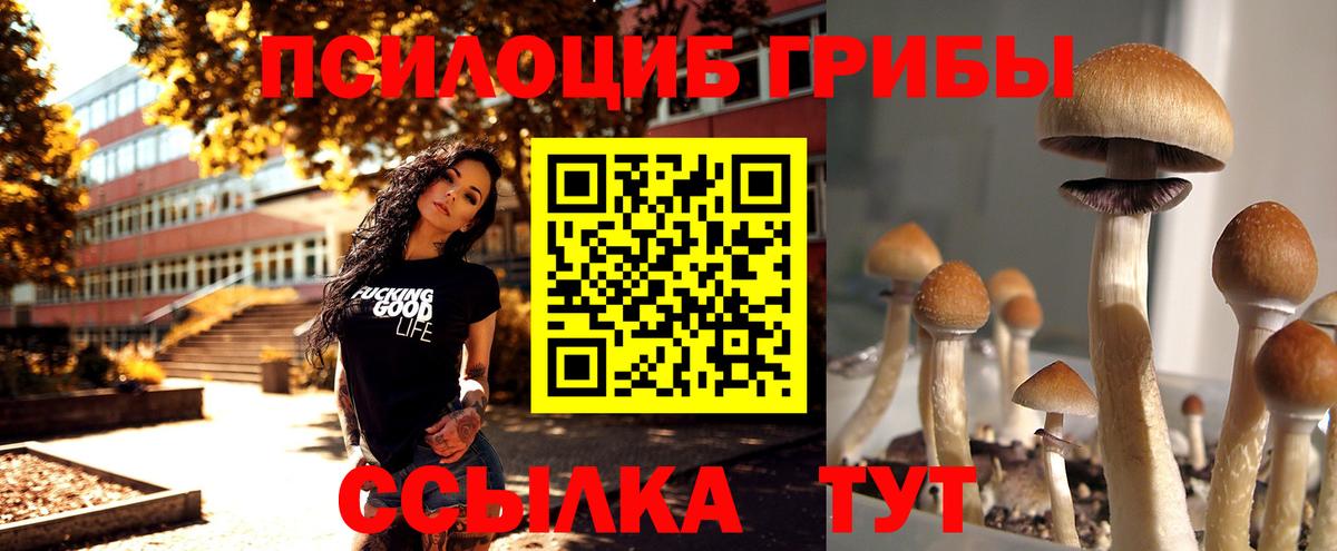 Псилоцибиновые грибы Psilocybine cubensis  Вход с VPN  Псилоцибиновые грибы MAGIC MUSHROOMS  Камышин 