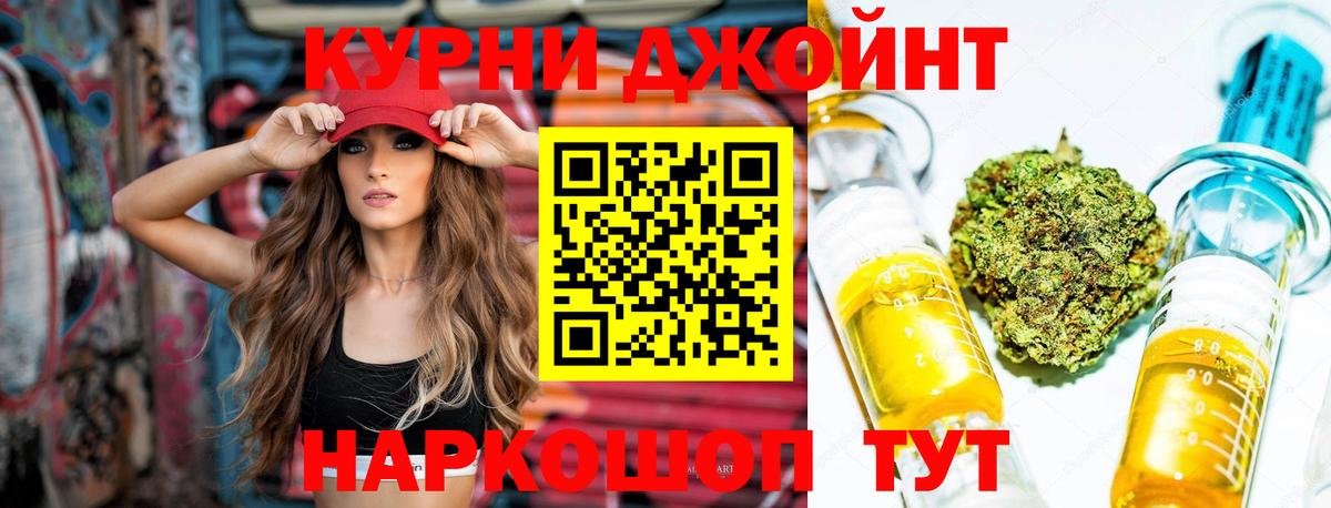 Каннабис план Камышин